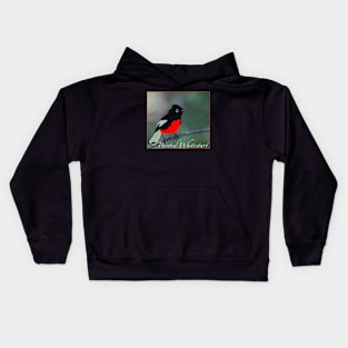 Painted Whitestart Kids Hoodie